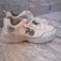 کفشهای اسپورت همگی باهم400تومان....|کیف، کفش، کمربند|جهرم, |دیوار