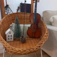 ساز ایرانی ویولون ،سه تار|سازهای سنتی|تهران, کرمان|دیوار