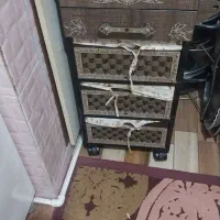 جاسیب زمینی پیاز