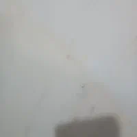 اجاره مغازه