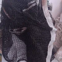 تور  ورزشی