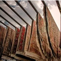 قالیشویی سالار