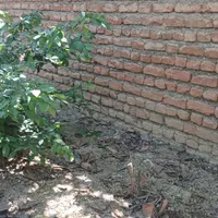 خدماتی منزل شبانه روزی
