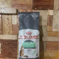 غذا خشک گربه