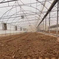 تراکتور باغی و بزرگ شخم روتیواتر تسطیح،خاک ورزی|خدمات باغبانی و درختکاری|هشتگرد, هشتگرد قدیم|دیوار