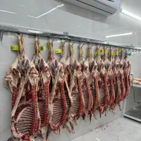 نیروی قصاب ماهر و صندوقدار