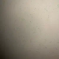 کارهای منزل (نظافت غذاپختن