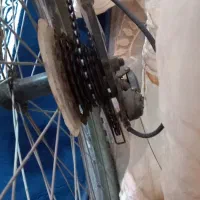 دوچرخه|دوچرخه، اسکیت، اسکوتر|اهواز, شهرک دانشگاه|دیوار