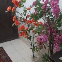 گل مصنوعی|گل مصنوعی|شیراز, کوشک میدان|دیوار