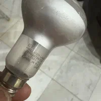 لامپ هالوژن