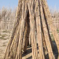 نی چوبی