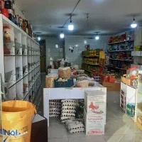 مغازه فروشی|فروش مغازه و غرفه|برازجان, |دیوار