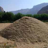یونجه فروشی