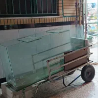آکواریوم بزرگ