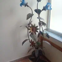 آباژور سالم