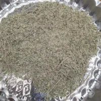 آویشن کوهی|عمده‌فروشی|اردکان, |دیوار