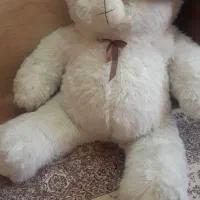 خرس بزرگ