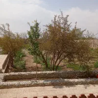 فروش فوری باغ|فروش خانه و ویلا|جوادآباد, |دیوار