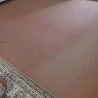 موکت شسته شده و تمیز