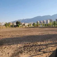 پانسیون و اجاره اسب|اسب و تجهیزات اسب‌سواری|شیراز, شهرک بزین|دیوار