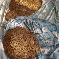 توت خشک درجه یک