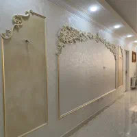 نیروی پتینه کاری