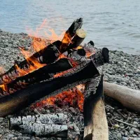 گاز ۵ شعله طرح فر