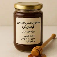 معجون عسل طبیعی + گیاهان گرم (ویژه تقویت بدن)