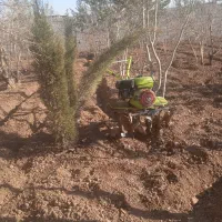 گود کن درخت تیلر زدن آره موتوری