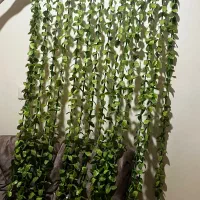 پرده ریسه ای برگ|گل مصنوعی|اهواز, کوروش|دیوار