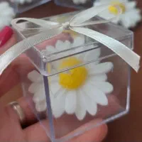 شمع بابونه|صنایع دستی و سایر لوازم تزئینی|دابودشت, |دیوار