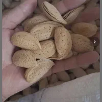 کشمش گردو بادام|خوردنی و آشامیدنی|تویسرکان, |دیوار