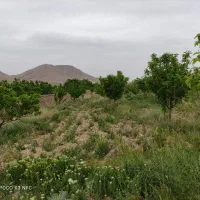 زمین مسکونی|فروش زمین و ملک کلنگی|خرقان, |دیوار