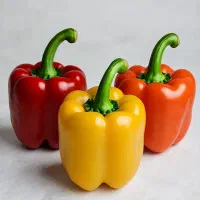 استخدام نیروی خانم