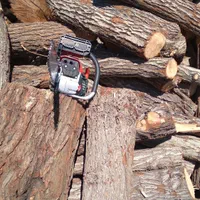 چوب ودرخت|خدمات باغبانی و درختکاری|ساوه, |دیوار