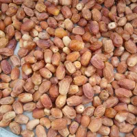 قصب (زاهدی) درجه یک