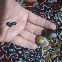 انگشتر|جواهرات|یزد, |دیوار