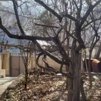 ۲۸۷ متر زمین با ۲۰۰ متر بنای کلنگی