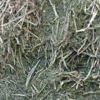 کاه باقله تمیز|حیوانات مزرعه|گچی, |دیوار