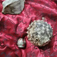 ماهی بادکنکی تزئینی و انگشتر نگین دار|جواهرات|آفتاب, |دیوار