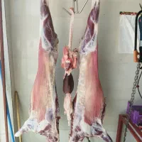 کهره،برهزندهوگوشتیدر،توابعارسنجان|حیوانات مزرعه|ارسنجان, |دیوار