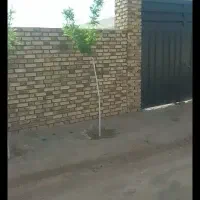 زمین 1400 متری پلنگ آباد|فروش دفتر صنعتی، کشاورزی، تجاری|پلنگ آباد, |دیوار