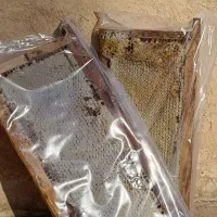 عسل طبیعی سرعین اردبیل