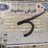 فرش درجه یک مشهد 12متری|فرش|مشهد, فرهنگیان (شهرک غرب)|دیوار