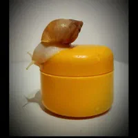 محصولات کاملا طبیعی حلزون