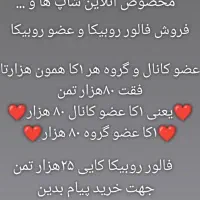 فالور و عضو روبیکا برای ارایشی و انلاین شاپ