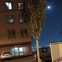 مشارکت ۲۹۵متردو نبش جنوبی باغمیشه خیابان  ولیپور|مشارکت در ساخت املاک|تبریز, |دیوار