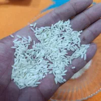 برنج محلی سالم