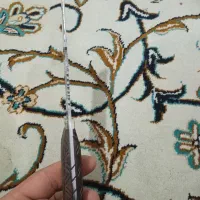 چاقو فنر|کوهنوردی و کمپینگ|بجنورد, |دیوار