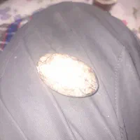 سنگ مرجان زیبا|کلکسیون اشیاء عتیقه|فولادشهر, B4|دیوار